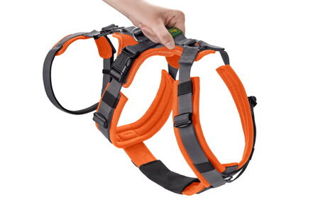 Harness Safety Maldon 47-69/S-M Mesh orange/grey 1