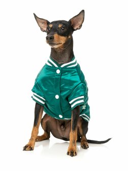 Fastball Jacket - Green 2