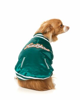 Fastball Jacket - Green 6