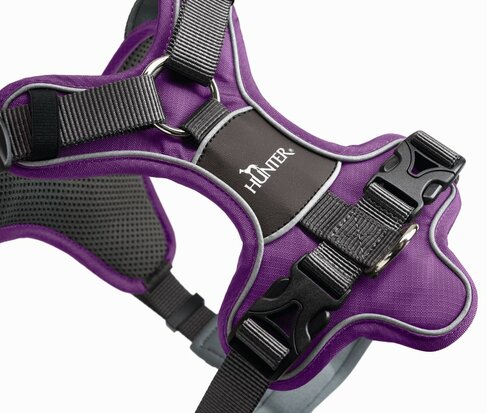 Geschirr Divo 45-56/S Nylon/Polyester Violett/Grau 1