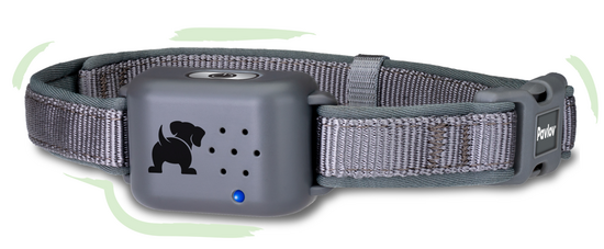 Pavlov Digital No Bark Collar Large