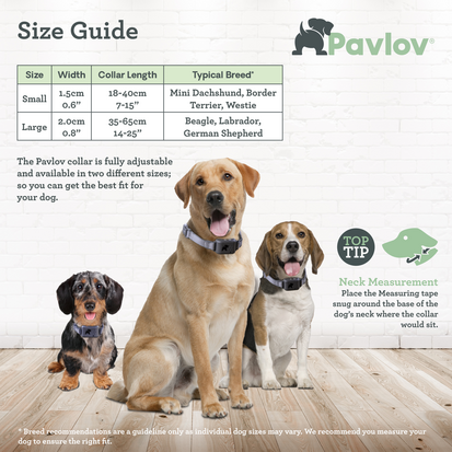 Pavlov Digital No Bark Collar Large