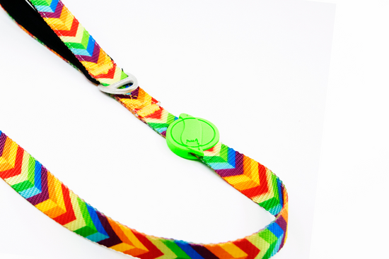 Tailpetz Rainbow Leash Medium