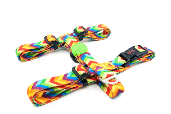 Tailpetz Rainbow H-Harness L