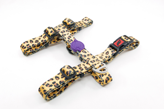 Tailpetz Leopard H-Harness S