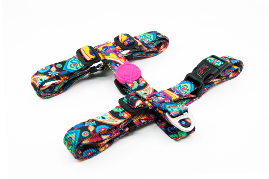 Tailpetz Paisley H-Harness Xs