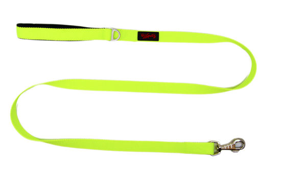 Tailpetz Neo Lime Match Leash