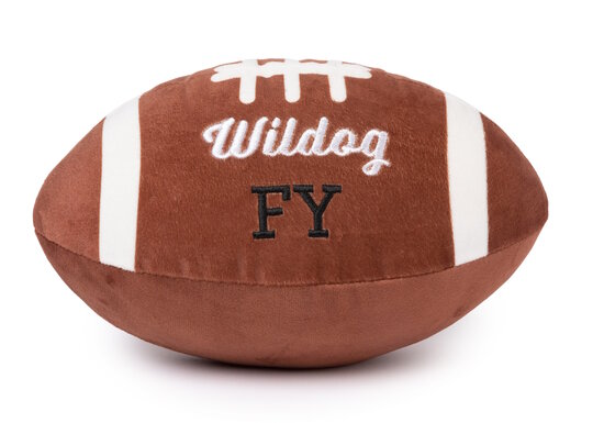 FuzzYard Plus Toy Wildog Footbal