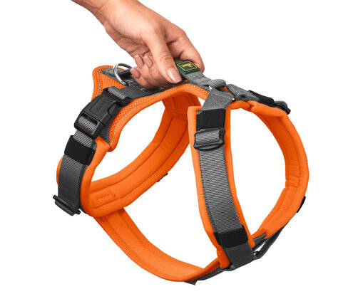 Harness Maldon Up 37-53/XS-S Polyester orange/grey 1