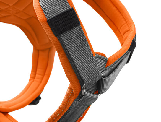 Harness Maldon Up 37-53/XS-S Polyester orange/grey 1