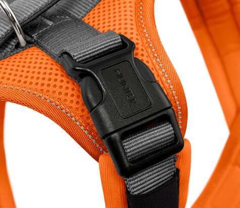 Harness Maldon Up 37-53/XS-S Polyester orange/grey 1