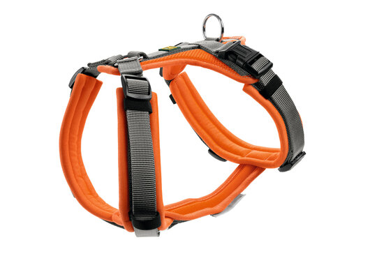 Harness Maldon Up 60-91/M-L Polyester orange/grey 1