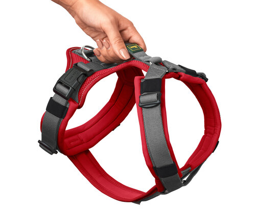 Harness Maldon Up 53-71/M Polyester red/grey 1