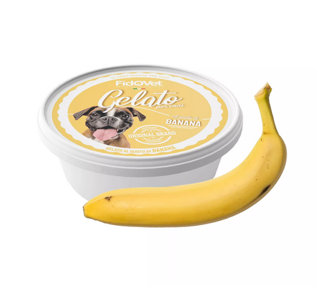 Fidovet Gelato Dog Banaan 40 Gram