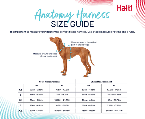 Halti Anatomy Harness Teal Large