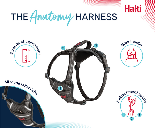 Halti Anatomy Harness Grey Large