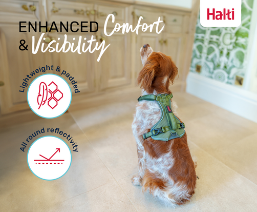 Halti Anatomy Harness Teal X-Small