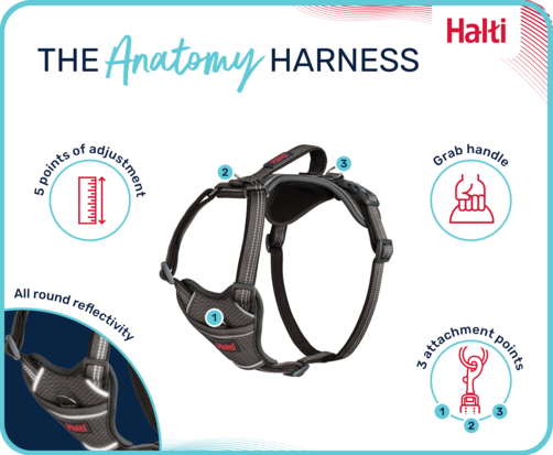 Halti Anatomy Harness Grey X-Small