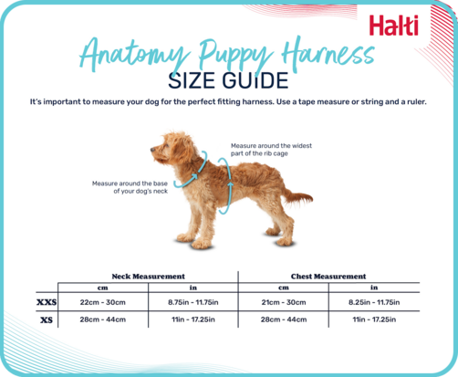 Halti Anatomy Puppy Harness Grey X-Small