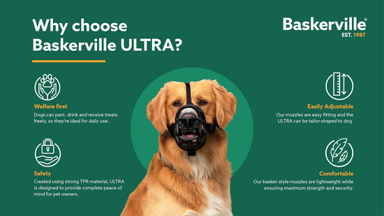 Baskerville Ultra Muzzle Size 2