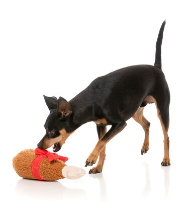 FuzzYard Dog Toy - Good Tidings Turkey Leg