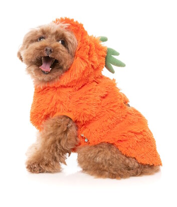 FuzzYard  Fluffy Hoodie Costume - Pumpkin Head 7