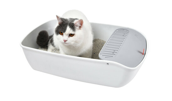 Cat Litter Box Siljan Plastic white 1