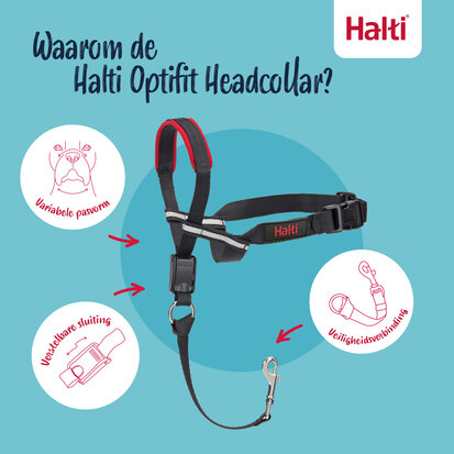 Halti Optifit Black Large