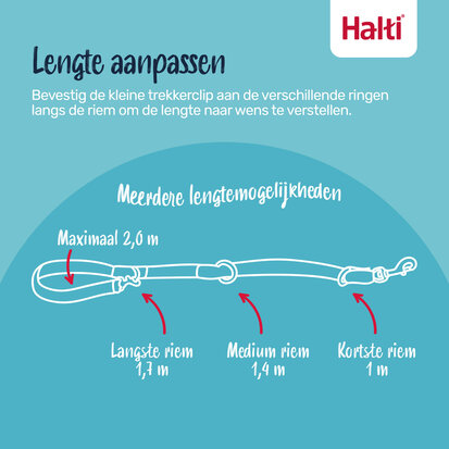 Halti Training Lead Black Large