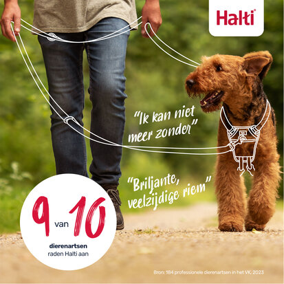 Halti Training Lead Black Large