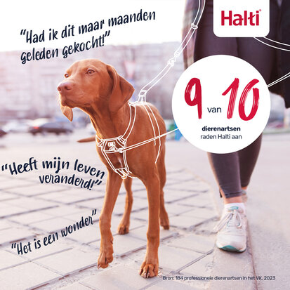 Halti No Pull Harness Black Small