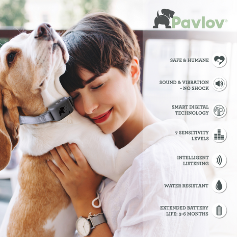 Pavlov Digital No Bark Collar Large