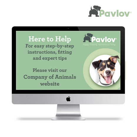 Pavlov Digital No Bark Collar Large