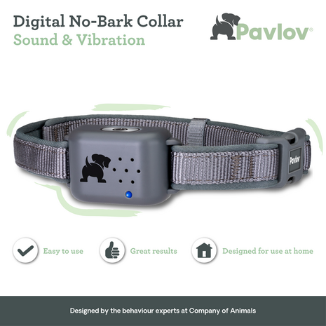 Pavlov Digital No Bark Collar Large