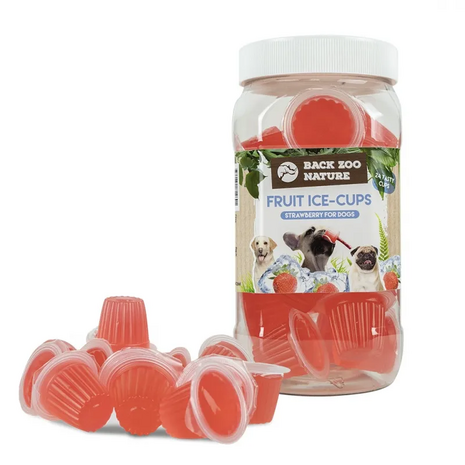 Back zoo fruit ice-cups aardbei 50 x 24 stuks