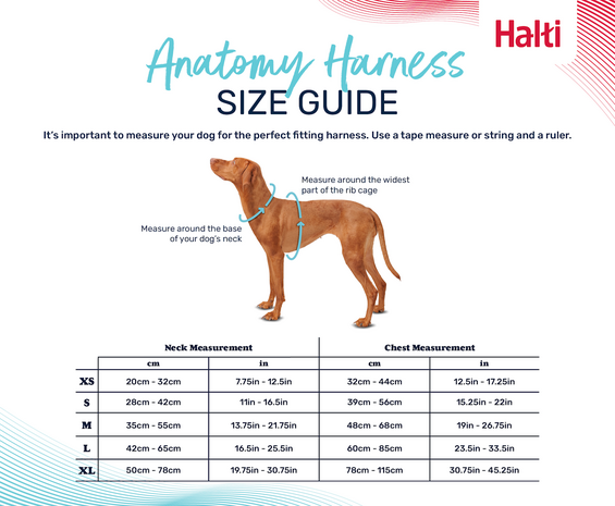 Halti Anatomy Harness Teal Large