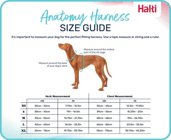 Halti Anatomy Harness Grey X-Small