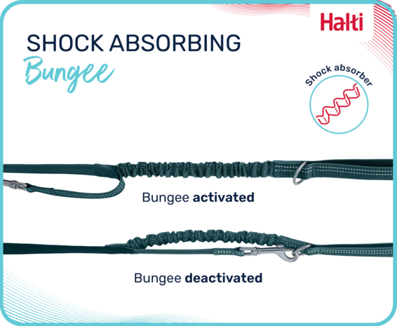 Halti Anatomy Multi Lead Teal Small  1.5-200 cm