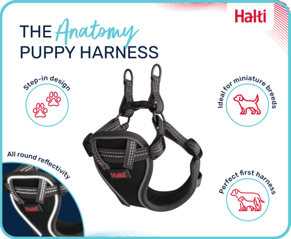 Halti Anatomy Puppy Harness Grey XX-Small