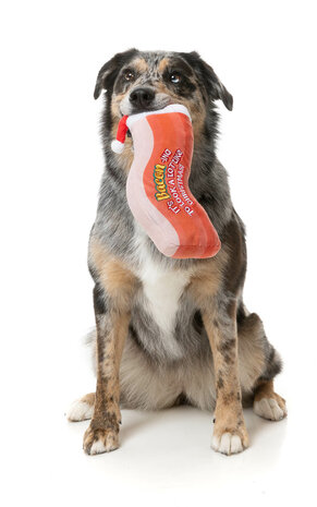 FuzzYard Dog Toy - Bacon-ing To Look A Lot Like Xmas