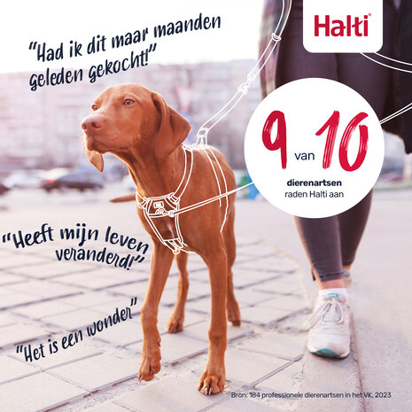 Halti No Pull Harness Black Large